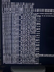 IMG_2252.jpeg
