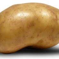 GaLiSa