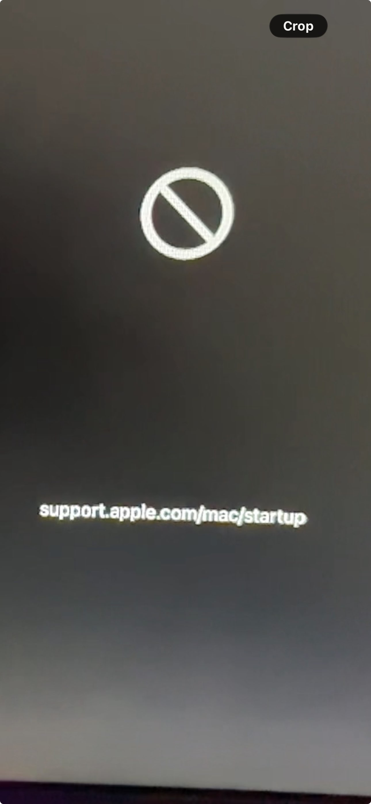 1780211499797.png