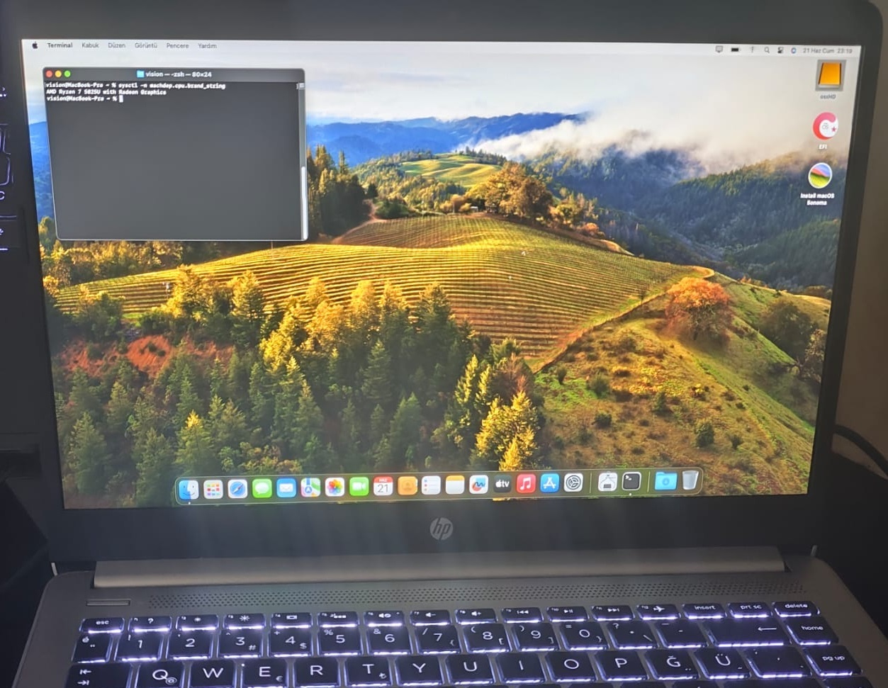 RYZENTOSH_HP245G9.jpg